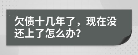 欠債十幾年了，現(xiàn)在沒還上了怎么辦？