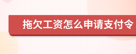 拖欠工資怎么申請(qǐng)支付令