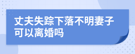 丈夫失蹤下落不明妻子可以離婚嗎