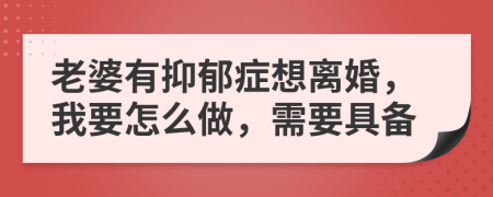老婆有抑郁癥想離婚，我要怎么做，需要具備