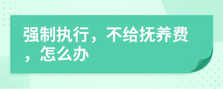 強制執(zhí)行，不給撫養(yǎng)費，怎么辦