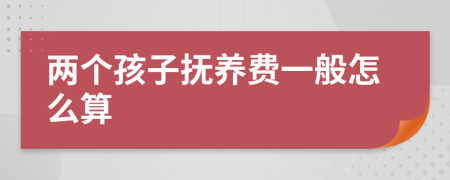 兩個(gè)孩子撫養(yǎng)費(fèi)一般怎么算