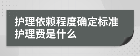 護(hù)理依賴程度確定標(biāo)準(zhǔn)護(hù)理費(fèi)是什么