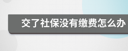 交了社保沒有繳費(fèi)怎么辦