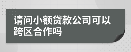 請問小額貸款公司可以跨區(qū)合作嗎