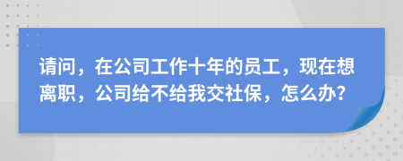 請問，在公司工作十年的員工，現(xiàn)在想離職，公司給不給我交社保，怎么辦？