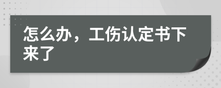 怎么辦，工傷認(rèn)定書下來了