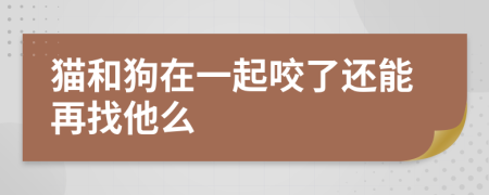 貓和狗在一起咬了還能再找他么