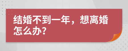 結(jié)婚不到一年，想離婚怎么辦？