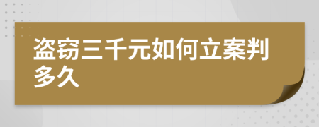 盜竊三千元如何立案判多久
