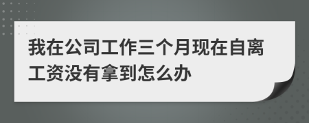 我在公司工作三個月現(xiàn)在自離工資沒有拿到怎么辦
