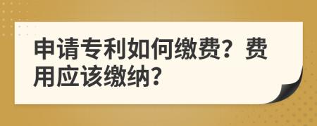 申請(qǐng)專利如何繳費(fèi)？費(fèi)用應(yīng)該繳納？