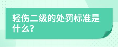 輕傷二級的處罰標(biāo)準(zhǔn)是什么？