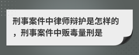 刑事案件中律師辯護是怎樣的，刑事案件中販毒量刑是