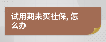 試用期未買社保, 怎么辦