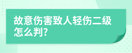 故意傷害致人輕傷二級怎么判?