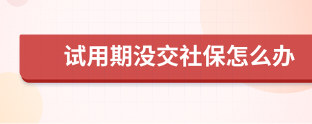 試用期沒交社保怎么辦