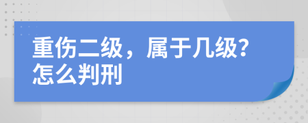 重傷二級，屬于幾級？怎么判刑