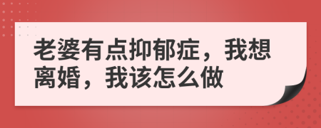 老婆有點(diǎn)抑郁癥，我想離婚，我該怎么做