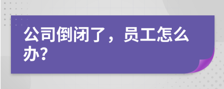 公司倒閉了，員工怎么辦？