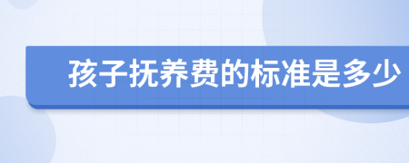 孩子撫養(yǎng)費(fèi)的標(biāo)準(zhǔn)是多少