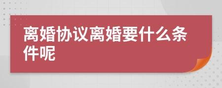 離婚協(xié)議離婚要什么條件呢