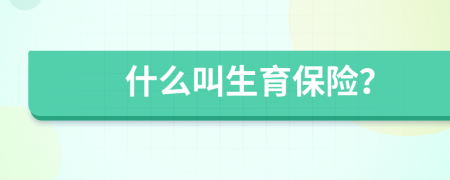 什么叫生育保險？