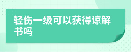 輕傷一級可以獲得諒解書嗎