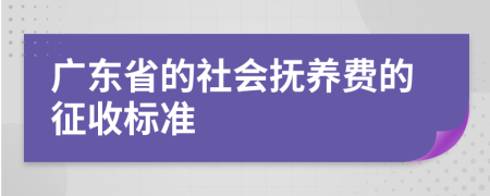 廣東省的社會撫養(yǎng)費(fèi)的征收標(biāo)準(zhǔn)