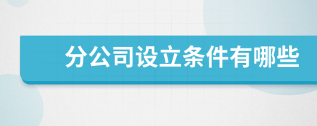 分公司設(shè)立條件有哪些