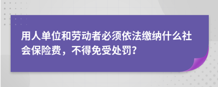 用人單位和勞動者必須依法繳納什么社會保險費，不得免受處罰？