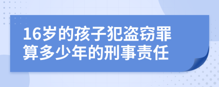 16歲的孩子犯盜竊罪算多少年的刑事責(zé)任