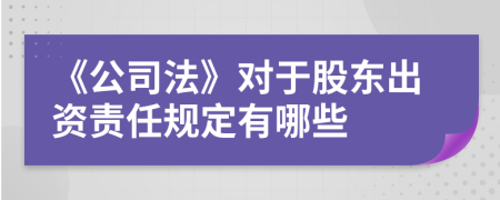 《公司法》對于股東出資責任規(guī)定有哪些