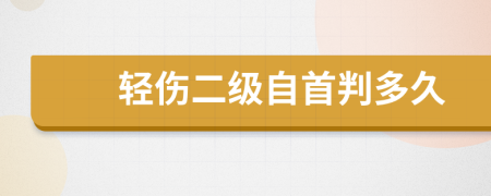 輕傷二級自首判多久