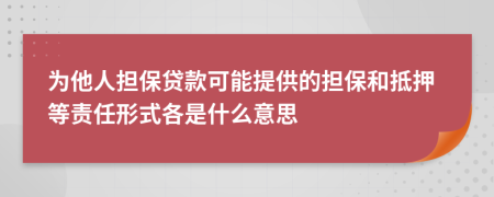 為他人擔保貸款可能提供的擔保和抵押等責任形式各是什么意思