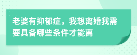老婆有抑郁癥，我想離婚我需要具備哪些條件才能離