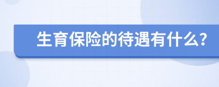 生育保險的待遇有什么？