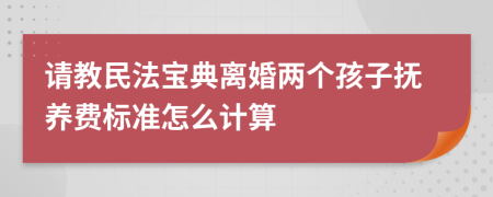 請教民法寶典離婚兩個孩子撫養(yǎng)費(fèi)標(biāo)準(zhǔn)怎么計(jì)算