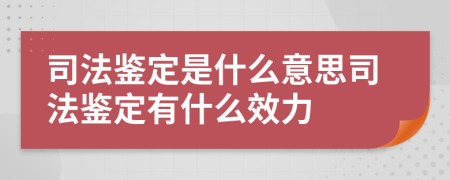 司法鑒定是什么意思司法鑒定有什么效力