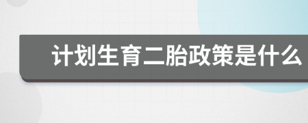 計(jì)劃生育二胎政策是什么
