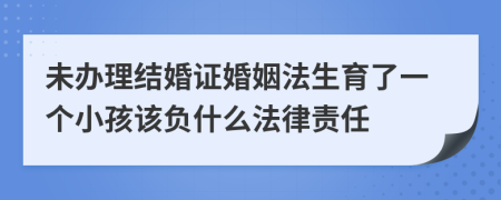 未辦理結(jié)婚證婚姻法生育了一個(gè)小孩該負(fù)什么法律責(zé)任