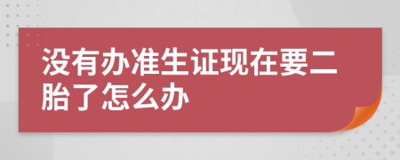 沒(méi)有辦準(zhǔn)生證現(xiàn)在要二胎了怎么辦