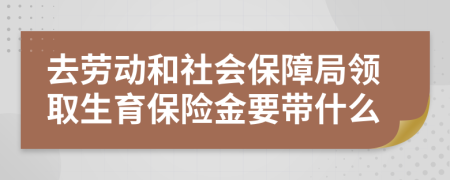 去勞動和社會保障局領取生育保險金要帶什么