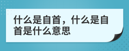什么是自首，什么是自首是什么意思