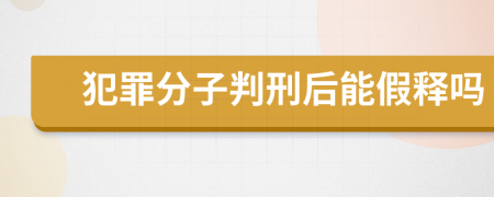 犯罪分子判刑后能假釋嗎