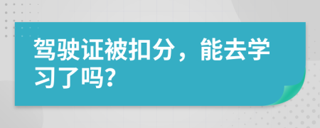 駕駛證被扣分，能去學習了嗎？