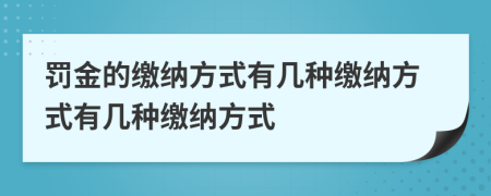 罰金的繳納方式有幾種繳納方式有幾種繳納方式