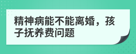 精神病能不能離婚，孩子撫養(yǎng)費問題