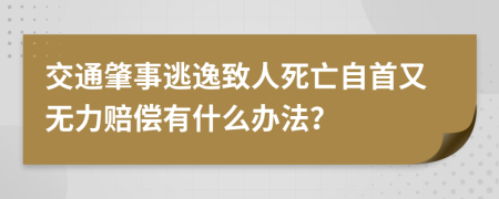 交通肇事逃逸致人死亡自首又無力賠償有什么辦法？