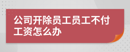 公司開除員工員工不付工資怎么辦